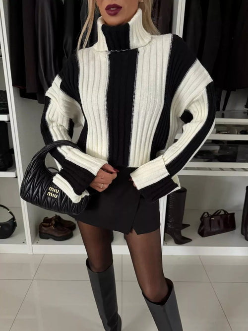 Color Block Ribbed Turtleneck Sweater - Maria de Fatima Andrade